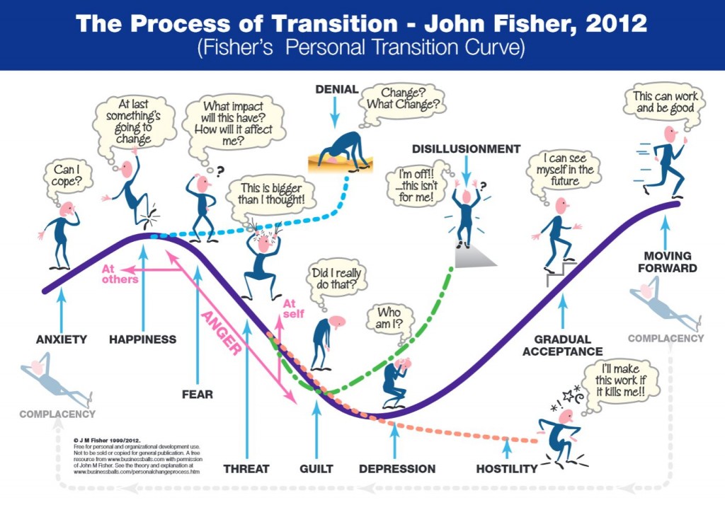 The-Process-of-Transition-Curve-John-Fisher-2012